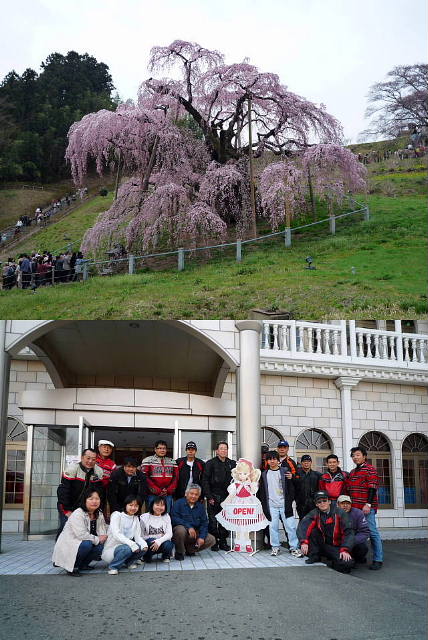 三春滝桜と集合写真
