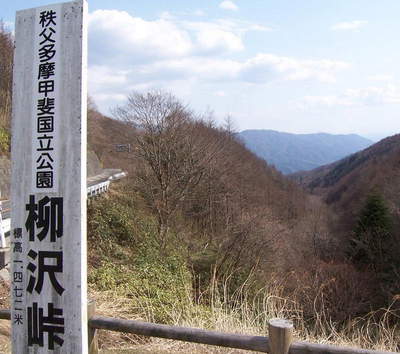yanagisawa.jpg