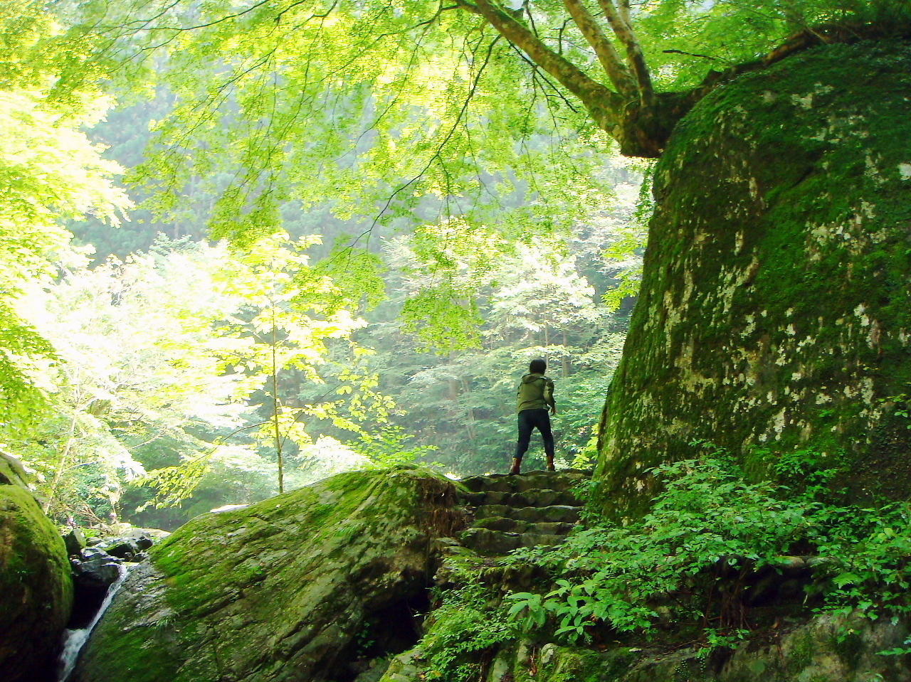 /img/course/2021/07/27/img/okutama_01.jpg