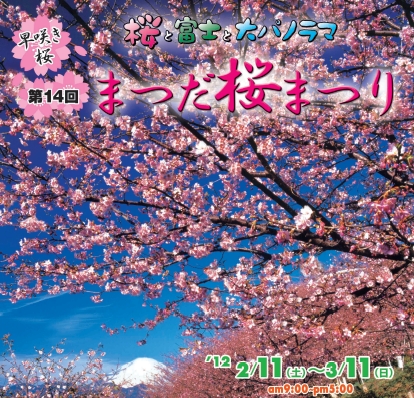 松田山桜