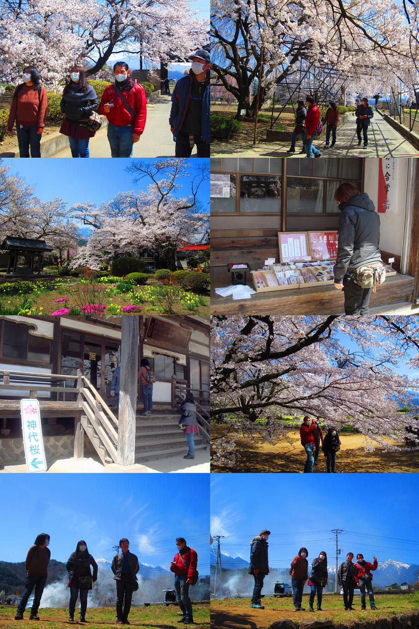 /img/repo/2020/04/09/img/2000sakura__45.jpg