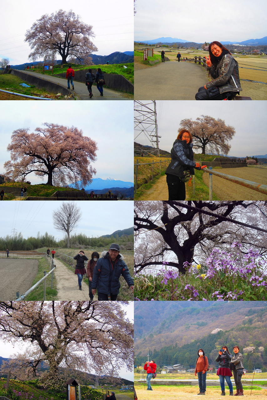 /img/repo/2020/04/09/img/2000sakura__58.jpg
