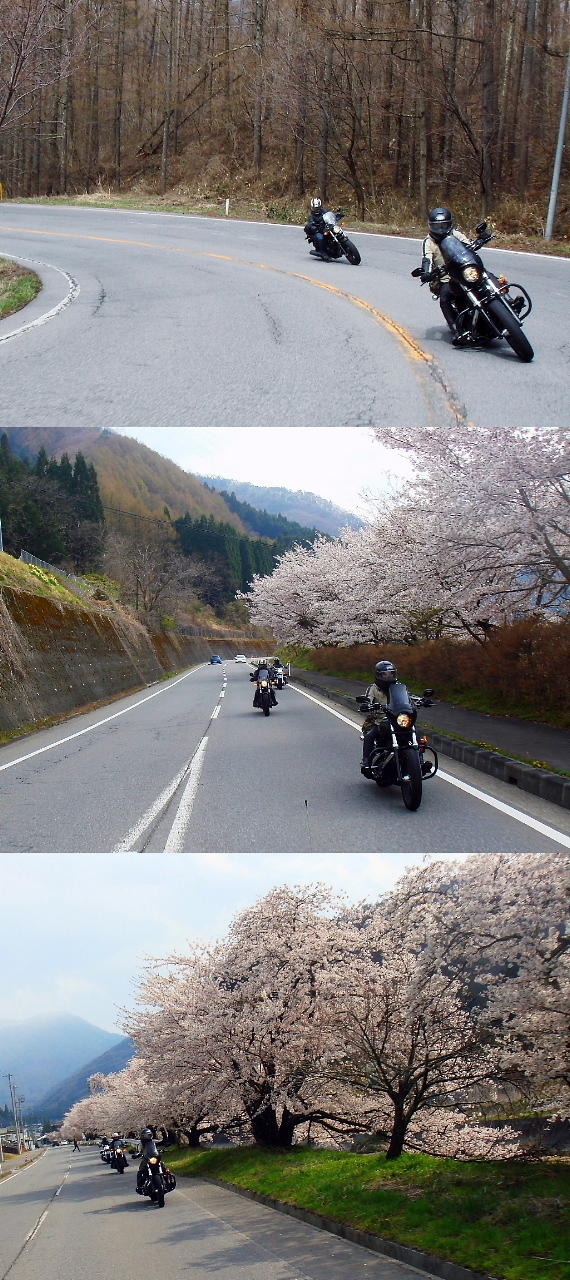 /img/repo/2020/04/28/img/yukikabe__37.jpg