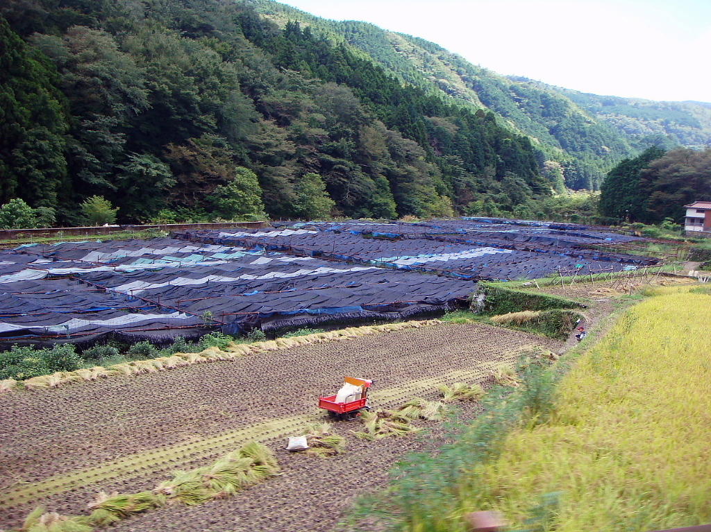 /img/repo/2020/09/14/img/izu_0004.jpg