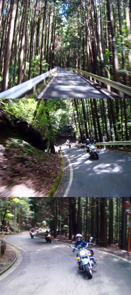 /img/repo/2020/09/14/img/izu_0040.jpg