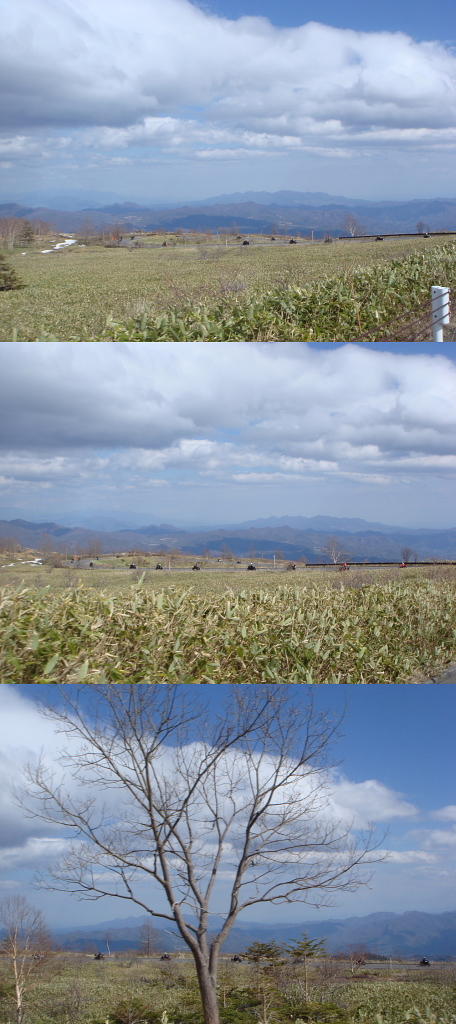 /img/repo/2021/04/27/img/yukikabe_66.jpg