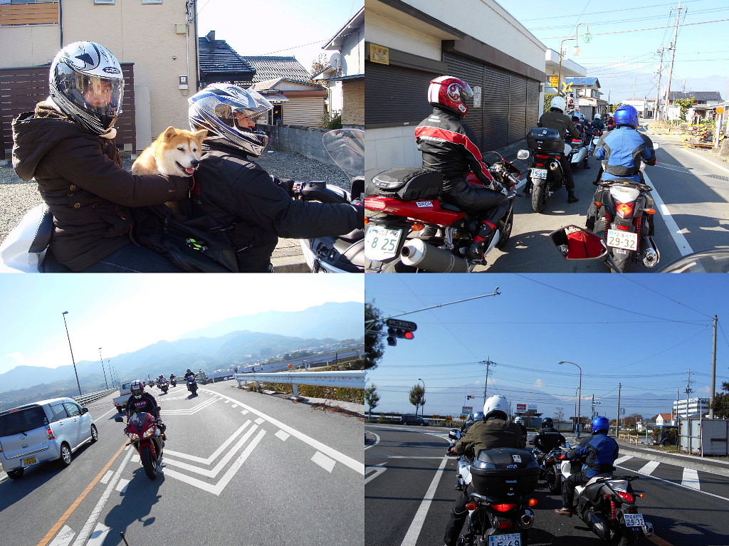 /img/repo/33hiryu_asikawa-2013_11_17.jpg