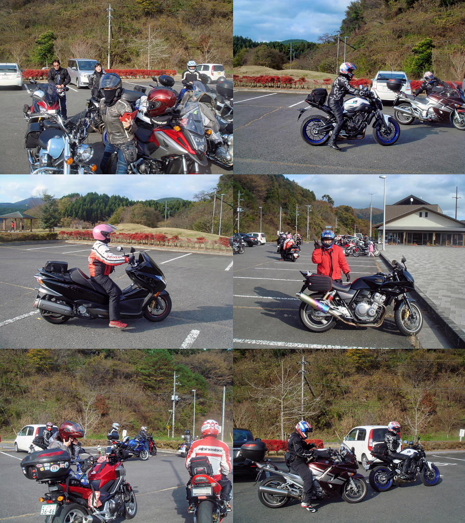 /img/repo/img/damukare_38.jpg